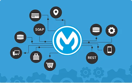 technology revinfotech mulesoft
