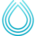 defi development revinfotech project serum