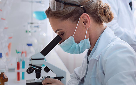 service revinfotech research and development service,web & mobile development