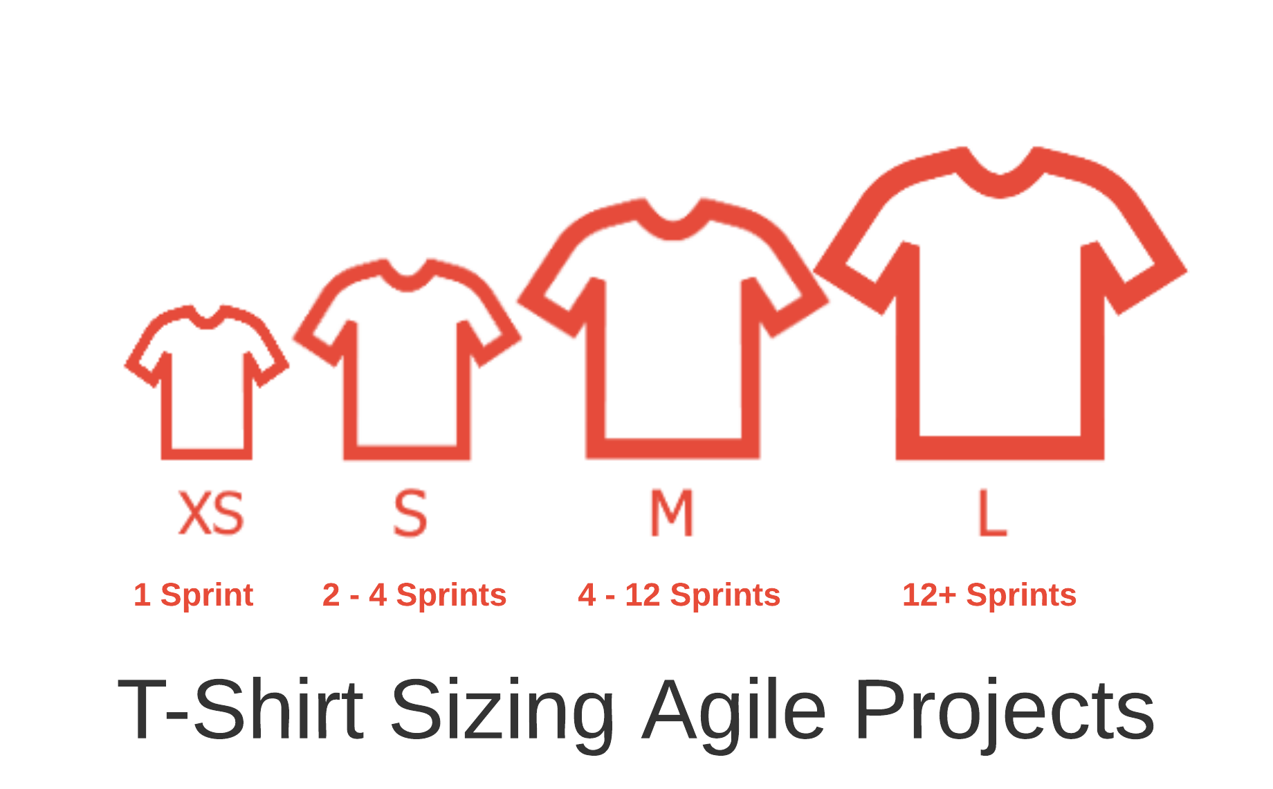 T Shirt Sizes