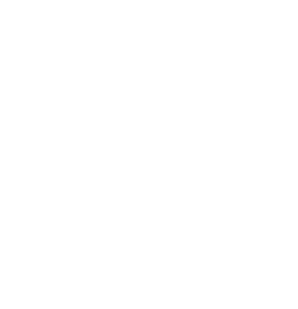 intelligent data-to-insight transformation